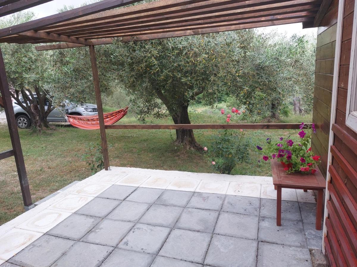 Matthaeus Am Corfutrail, Ferienoase Im Olivenhain 3 Km Zum * Giannades