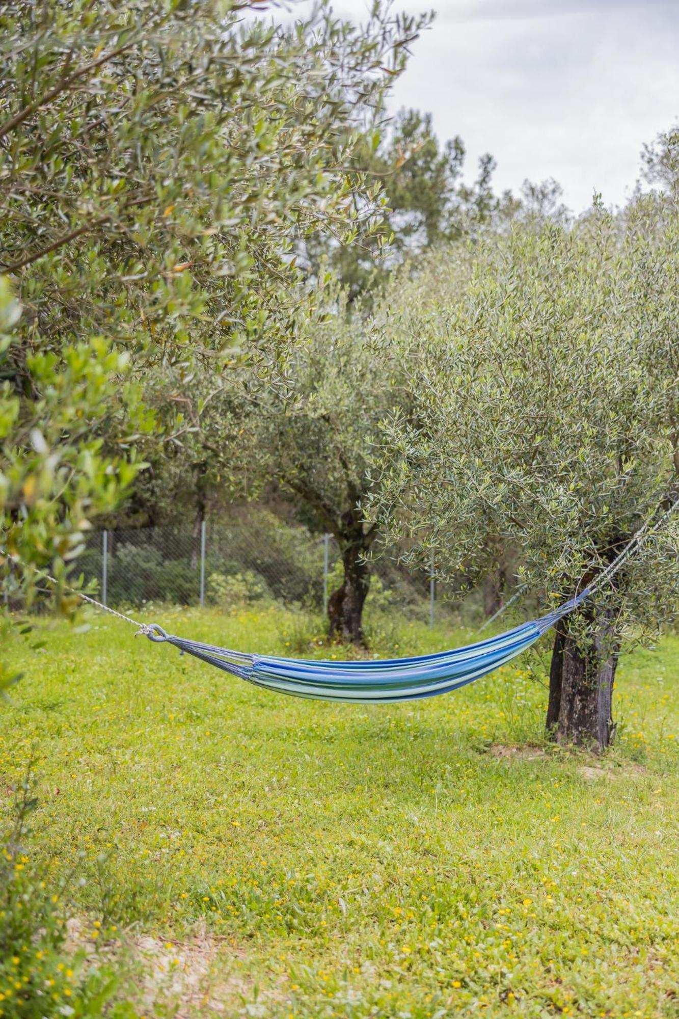 Matthaeus Am Corfutrail, Ferienoase Im Olivenhain 3 Km Zum * Giannades